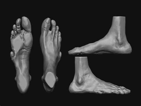 foot / 3D Sculpt based on Carlos Huante's artwork - ZBrushCentral