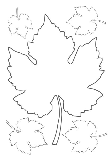 Лист винограда трафарет (Большая коллекция фото) - drawpics.ru