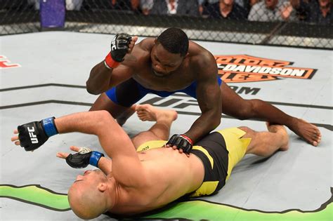 Conor McGregor defeats Nate Diaz in UFC 202 rematch photos - Sports ...