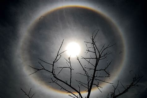 Halo Ao Redor Das Luzes - O que É Halo, Como se Forma: Fotos do Fenômeno de Luz ao redor do Sol