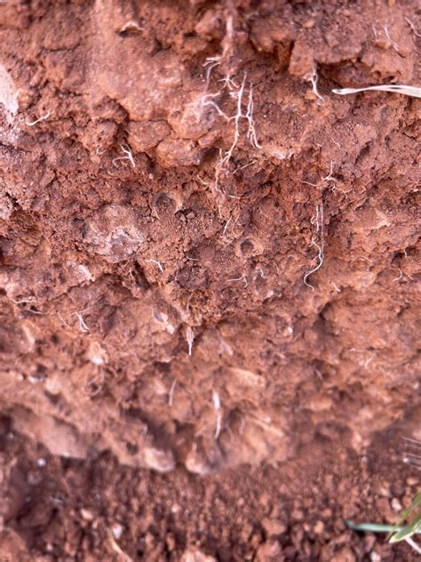soil compaction explained soil quality knowledge base