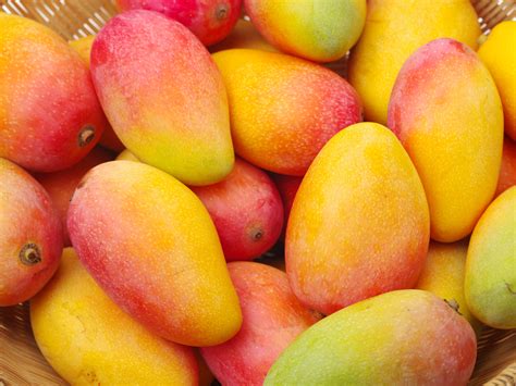 predictive modeling  palmer mango nirs mango maturity felix