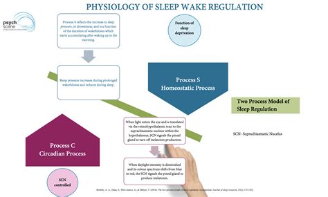 Neurobiology and Neuropsychiatry of Sleep - Translational Aspects