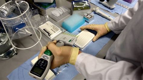 durchfuehrung eines picogreen assays youtube