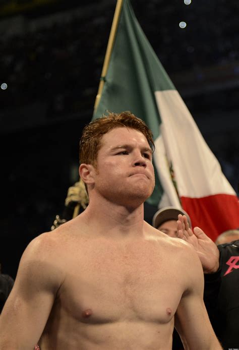 Canelo Alvarez Wallpapers (80+ pictures) - WallpaperSet