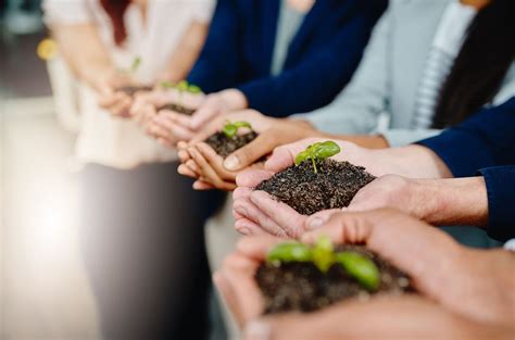 O Que É Empreendedorismo Sustentável - Empreendedorismo sustentável: o que saber sobre esse conceito