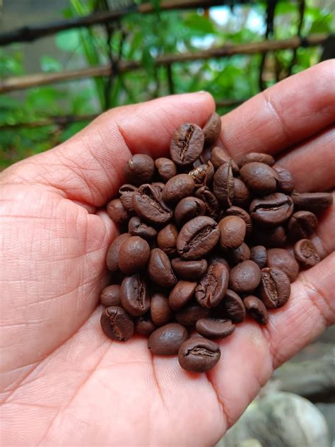 green coffe beans