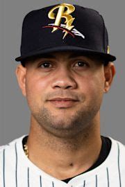 Luis García Stats, Age, Position, Height, Weight, Fantasy & News | MiLB.com