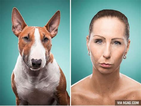 Dogs' Facial Expressions on Human Faces