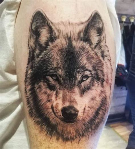 cool animal tattoos   shouldnt    lovely animals