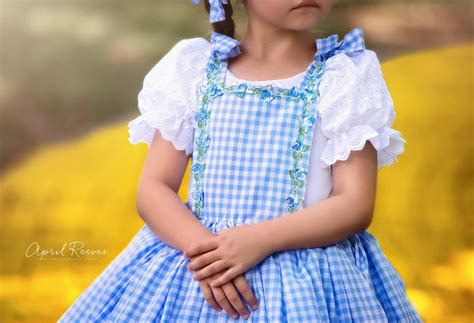 Dorothy Costume Judy Garland Wizard of Oz Inspired Dress - Etsy UK