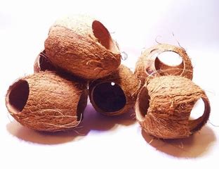 Купить кокос для аквариума FF Cocos Cava 1/1L, Укрытие из кожуры кокоса ...