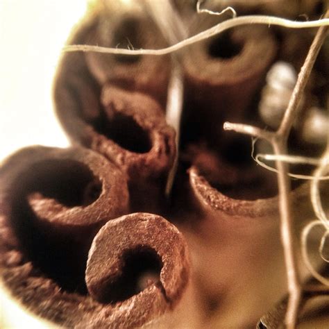 premium photo close   objects  wall