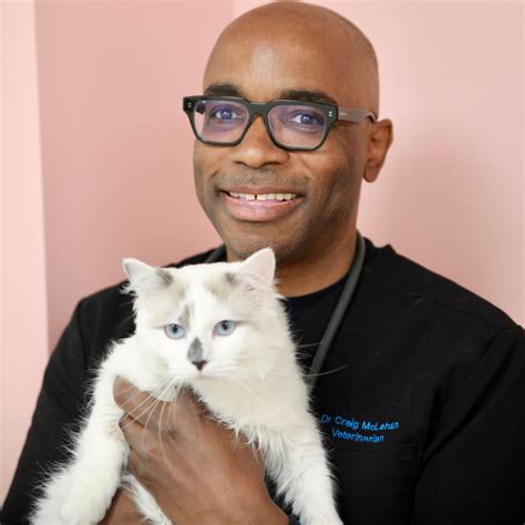 New Clients Bridgeport Veterinary Hospital | Bridgeport Veterinary Hospital