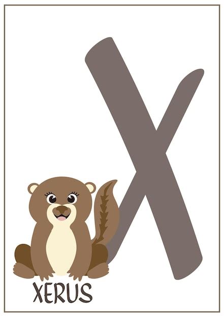 xny alphabet vectors illustrations    freepik