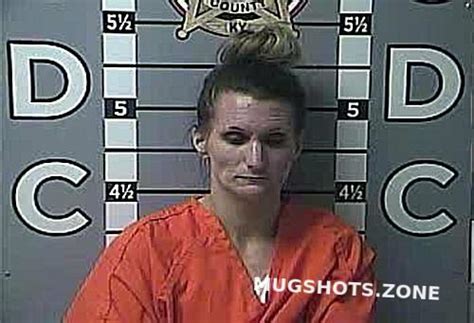 The Impact of Madison County KY Mugshots on the Criminal Justice System - ewjm26p