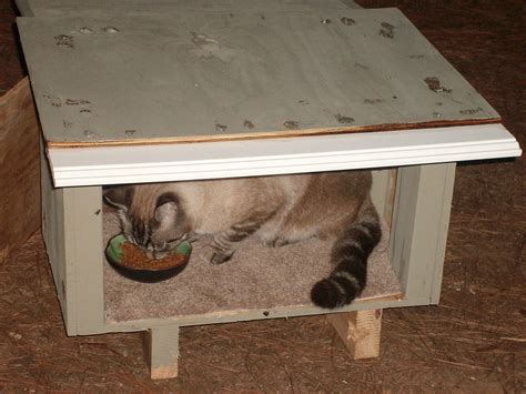 How To Build An Outdoor Cat House For Multiple Cats at Jennifer Ruff blog