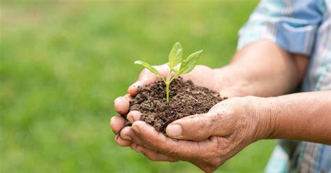 save trees save earth save nature karpagam architecture