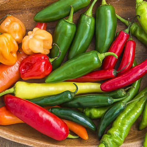 Mixed Hot Peppers/priced per pint – Country Gardens Farm