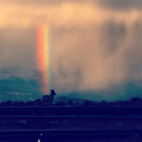 vertical rainbow part ii jared stark