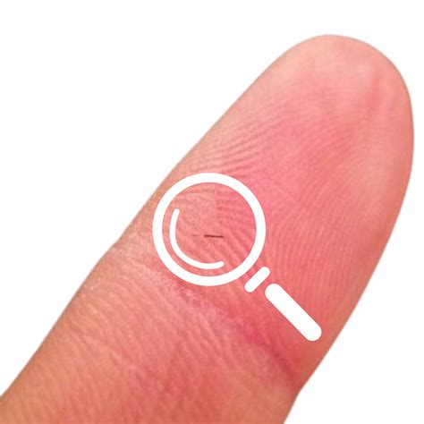 Pet Grooming and Hair Splinters | igroomhub Blog