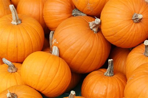 Decorative pumpkin ideas from Ace of Gray in Gray, GA