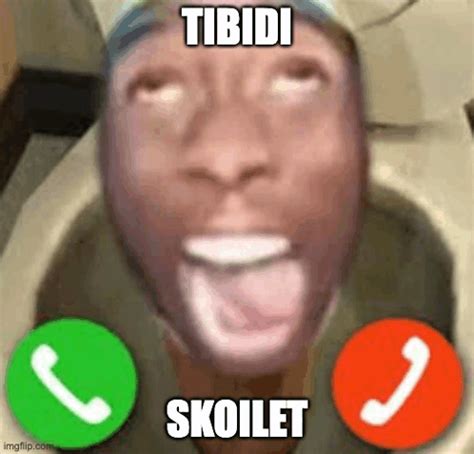 skibidi skibidi toilet meme skibidi skibidi toilet tibidi discover