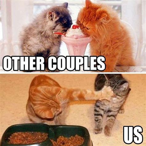 instagram photo  bash jun     utc funny animal