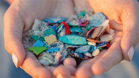 study links microplastic pollution  decline  global food supplies