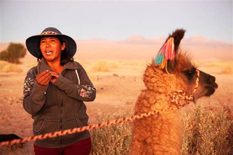 MICHELLE McCARRON - Lickan Antay - People of the Atacama