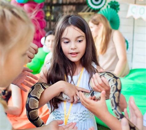 All about snakes