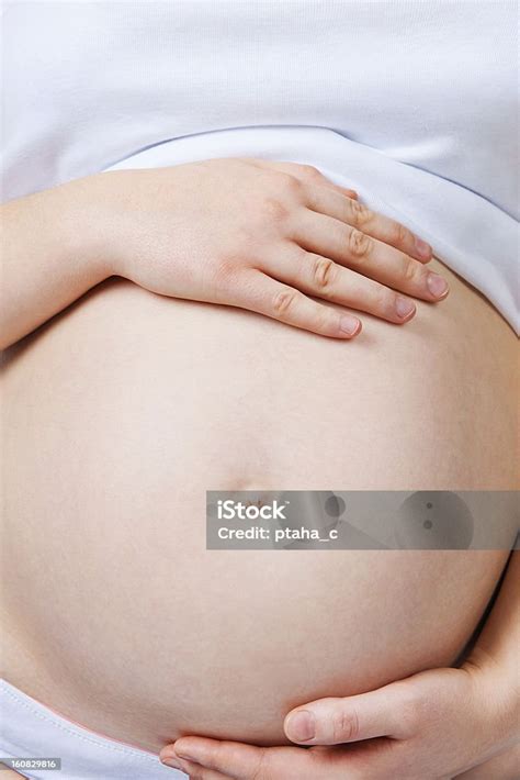 pregnant belly stock photo  image  abdomen adult belly