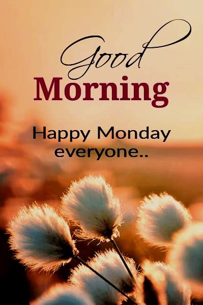 good morning happy monday  good morning wishes images