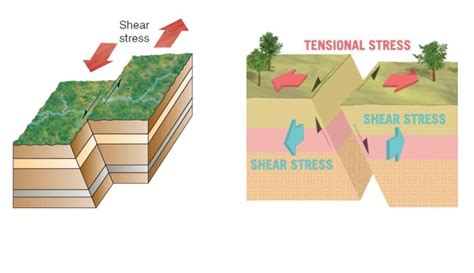 Solved Fault trace Epicenter Fault Seismic waves Hypocenter | Chegg.com