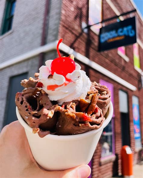 Cool Cat Creamery (@cool.cat.creamery) • Instagram photos and videos