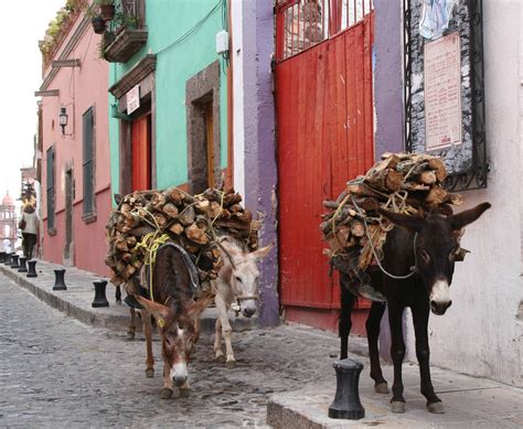 110 MEXICO ideas | mexico, mexican culture, mexico travel