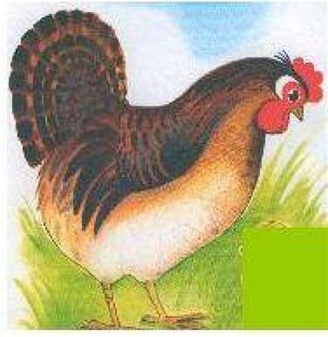 "Петушок,курочка и цыпленок"