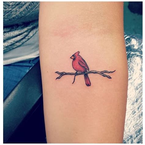 Fascinating small cardinal tattoo images