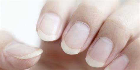 nail definition  nail