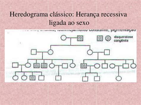 Herança Restrita Ao Sexo - 7