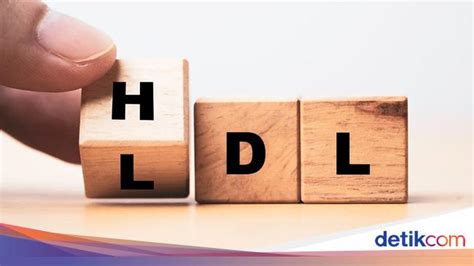 mengenal kolesterol hdl  baik  penting  kesehatan tubuh