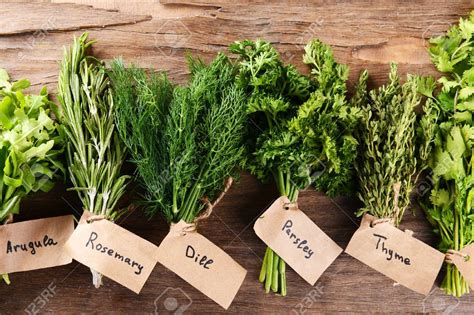 herbs donaldsons greenhouse
