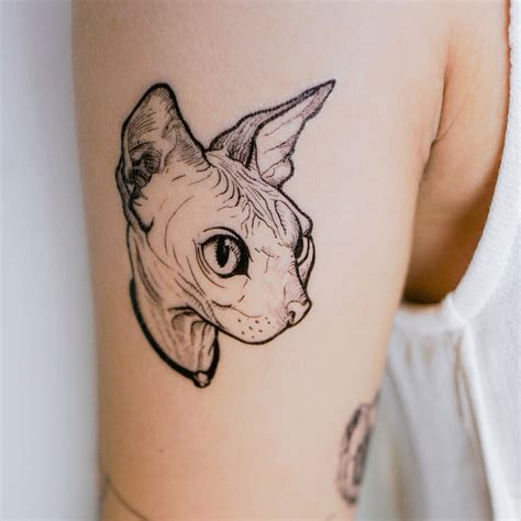 lazy duo sphynx cat tattoos sphynx kitten temporary tattoo stickers hk