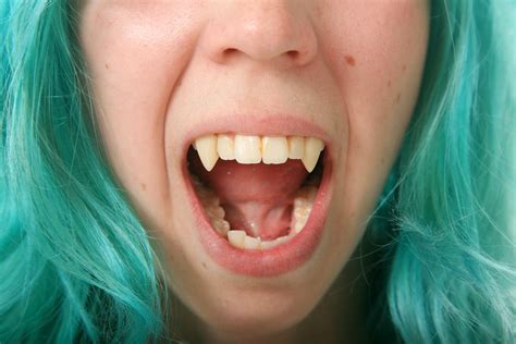 sink  teeth   facts  fangs tufts