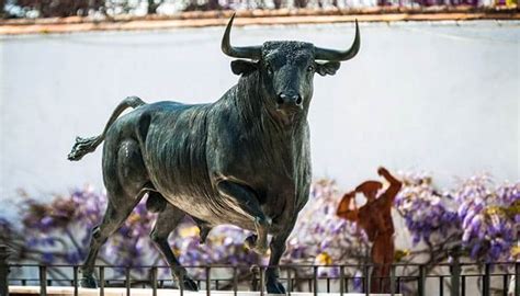 Why does bullfighting cause political controversy in Spain? | YourViva