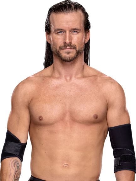 adam cole net worth 2021