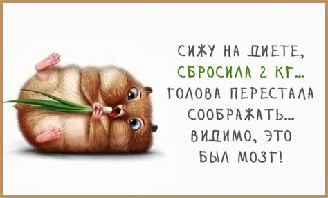 О диете с юмором: анекдоты о похудении