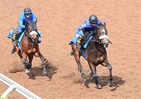【スプリングS】シックスペンス 好仕上がり 軽快な脚さばきに国枝師も満足げ「いい動き」 | 競馬ニュース - netkeiba