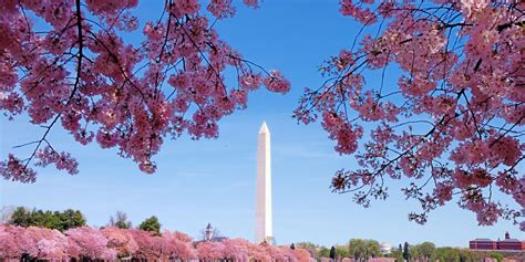 Guide touristique Washington - Organisez votre séjour à Washington avec ...