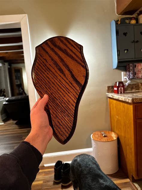 european deer mount plaque etsy